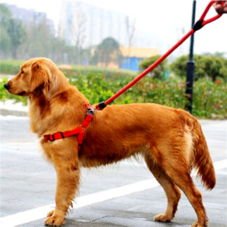 PT1402-Dog Leash Adjustable for Harness 43in. (Sold by the Dozen, Assorted Colors)