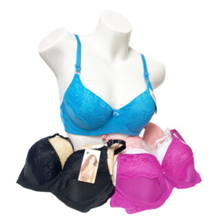 AD187-Lady push-up Bras (Sold by the Dozen, Assorted Colors and Sizes)