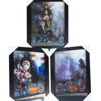 Pix6039-Sexy Lady&Motor(Min-2pcs)