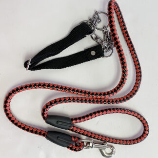TY1407-Dog Leash with Chain Collar  (Color assorted size:56)