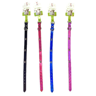 PET001-Mini Dog/cat collar(color assorted)