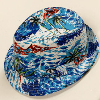 FDC007-Fedora Hat(Dozen Assorted colors)