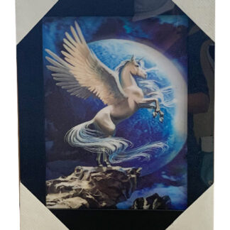 PIX502-Pegasus 15x19