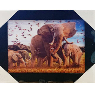 PIX548-Elephant Land