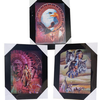 PIX8015-Native American(15x19)