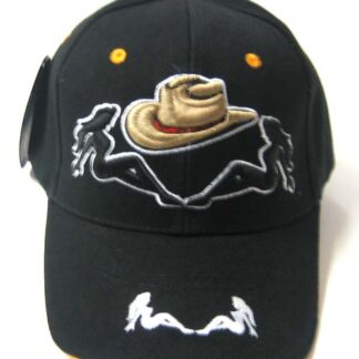 Cp1781-CowBoy Hat(Dozen)