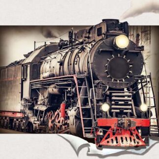 5D517-Train size:15x19