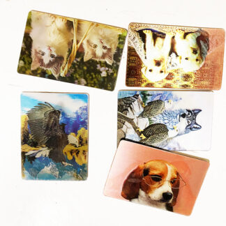 MG301-3D Refrigerator Magnet(Assorted designs)3x2