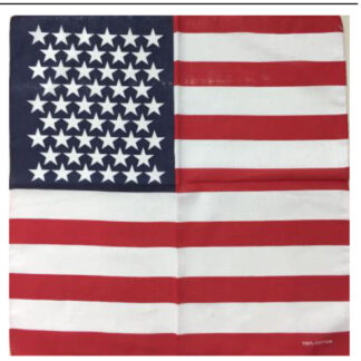 B36- US Flag Bandanas(Dozen)