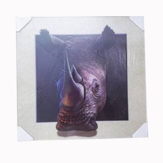 5D504-Rhinoceros (Size:16x16)