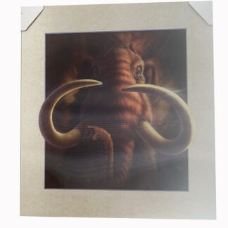 5D503-Mammoth (16x16)