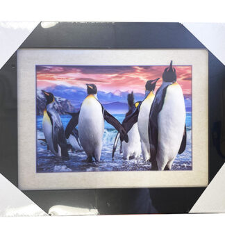 5D7052-Penguins (15x19)