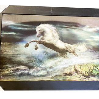 PIX9925-Galloping (27x17)