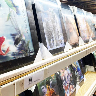 PIX01-3D Pictures (Assorted Designs 15x19''))