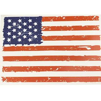 MG1074-USA Flag Car & Refrigerator Magnet (Dozen Size:4x5'')
