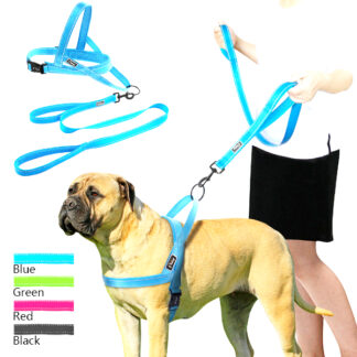 9385-XL Dog Leash with Harness (4FT Assorted Colors)