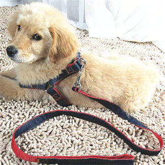 GWJ8804-Dog Leash with Harness (Sold by the Dozen, Assorted Colors)