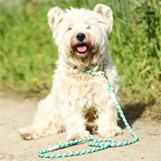 GWJ8801-Dog Leash Rope Style (Sold by the Dozen, Assorted Colors)