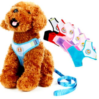 PT1401-Dog Leash with Breathable Harness (Sold by the Dozen, Assorted Colors)