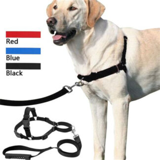 PT1404-Dog Leash with Harness (Sold by the Dozen, Assorted Colors)