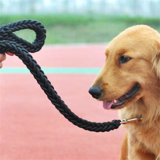 PT1406-Dog Rope Leash (Sold by the Dozen, Assorted Colors)