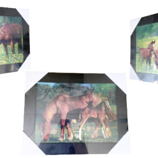 SP88046-Horse and Foal (Min-2pcs)(Size:15×19, 1.5 Pounds)