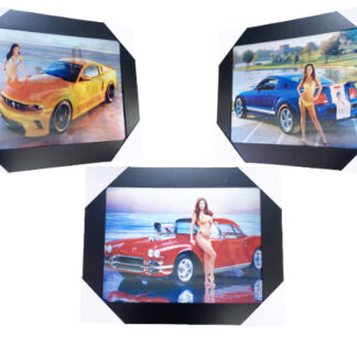 SP80322-3D Beauty & Car (Size:15×19, 1.5 Pounds)