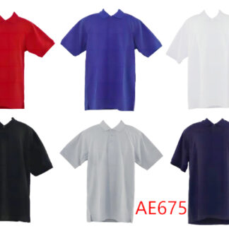AE675-Men's Polo Shirt (Assorted Colors and Sizes)