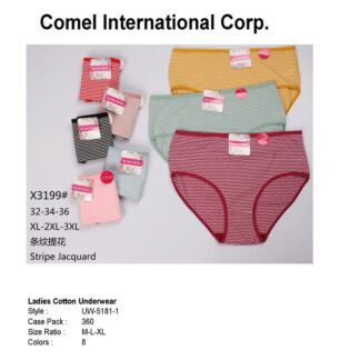 UW5181-1-Ladies Underwear