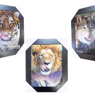 SP88027-3D Lion, Tiger, & Wolf (Min-2pcs)(Size:15×19, 1.5 Pounds)