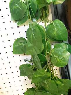 3949-Green Leaf Vine (Sold by the Dozen)