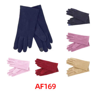 AF169-Lady Winter Touch Screen Gloves (Assorted Colors, Sold by the Dozen)