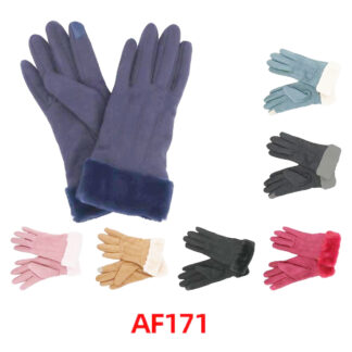 AF171-Lady Winter Touch Screen Gloves (Assorted Colors, Sold by the Dozen)