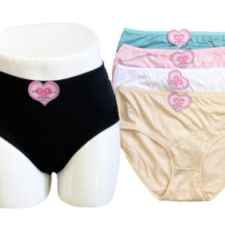6019 3061-Lady's Plus Size Underwear (Assorted Colors and Sizes)