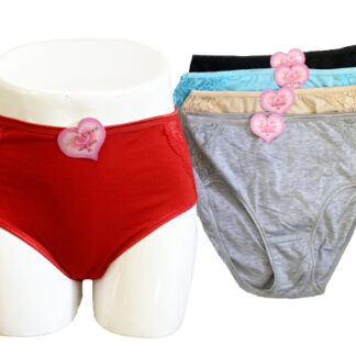 6078 225B-Lady's Plus Size Underwear (Assorted Colors and Sizes)