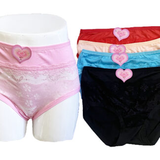 6877-Lady's Plus Size Underwear (Assorted Colors and Sizes)