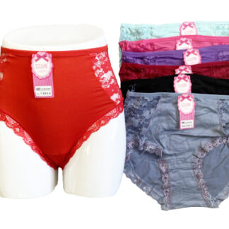 810-3-Lady's Plus Size Underwear (Assorted Colors and Sizes)