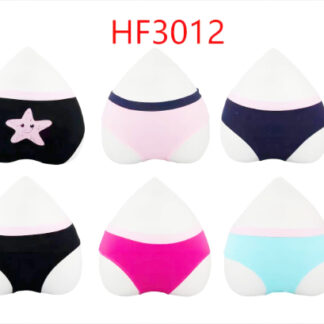 HF3012-Lady’s Underwear (Assorted Colors & Sizes)