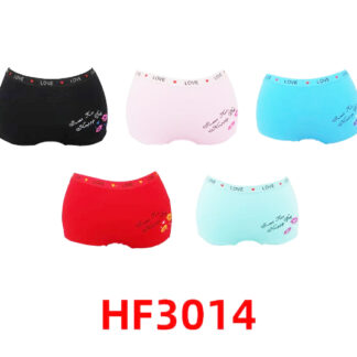 HF3014-Lady’s Underwear (Assorted Colors & Sizes)