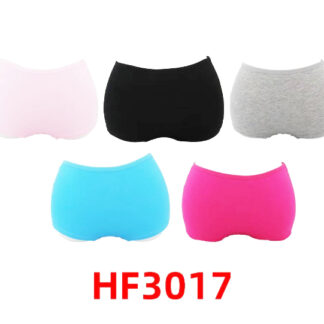 HF3017-Lady’s Underwear (Assorted Colors & Sizes)