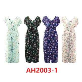 AH2003-1-Lady's Dress (Color & Size Assorted)