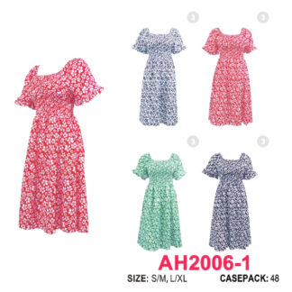AH2006-1-Lady’s Dress (Color & Size Assorted)