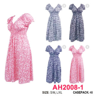 AH2008-1-Lady’s Dress (Color & Size Assorted)