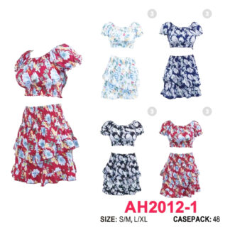 AH2012-1-Lady's 2pc Set (Assorted Colors & Sizes)