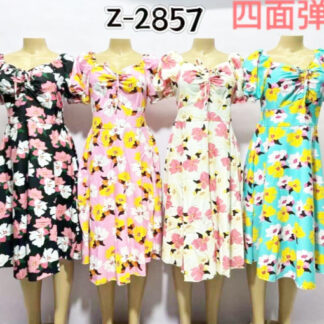 Z2857-Lady's Short Dress (Assorted Colors and Sizes)