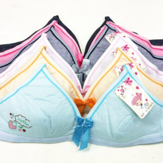 B2016-Little Girl Bra (Assorted Colors and Sizes, Sold by the Dozen)