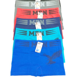 C512-Men's Underwear (Assorted Colors and Sizes, Sold by the Dozen)