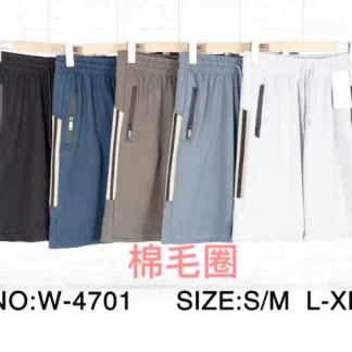 W4701- Men's Shorts (Assorted Colors and Sizes)