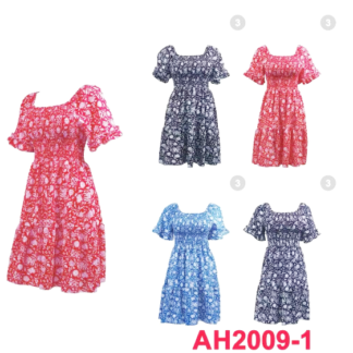 AH2009-Lady's Summer Dress (Assorted Colors and Sizes)